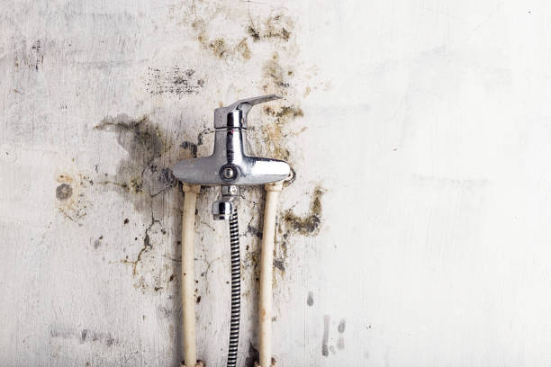 Best Office Mold Removal Services  in First Mesa, AZ