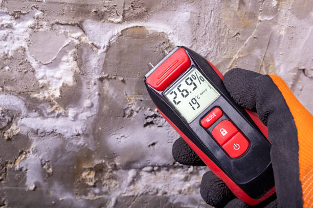 Best Local Mold Removal Service  in First Mesa, AZ