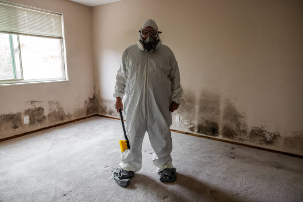Best Mold Testing  in First Mesa, AZ